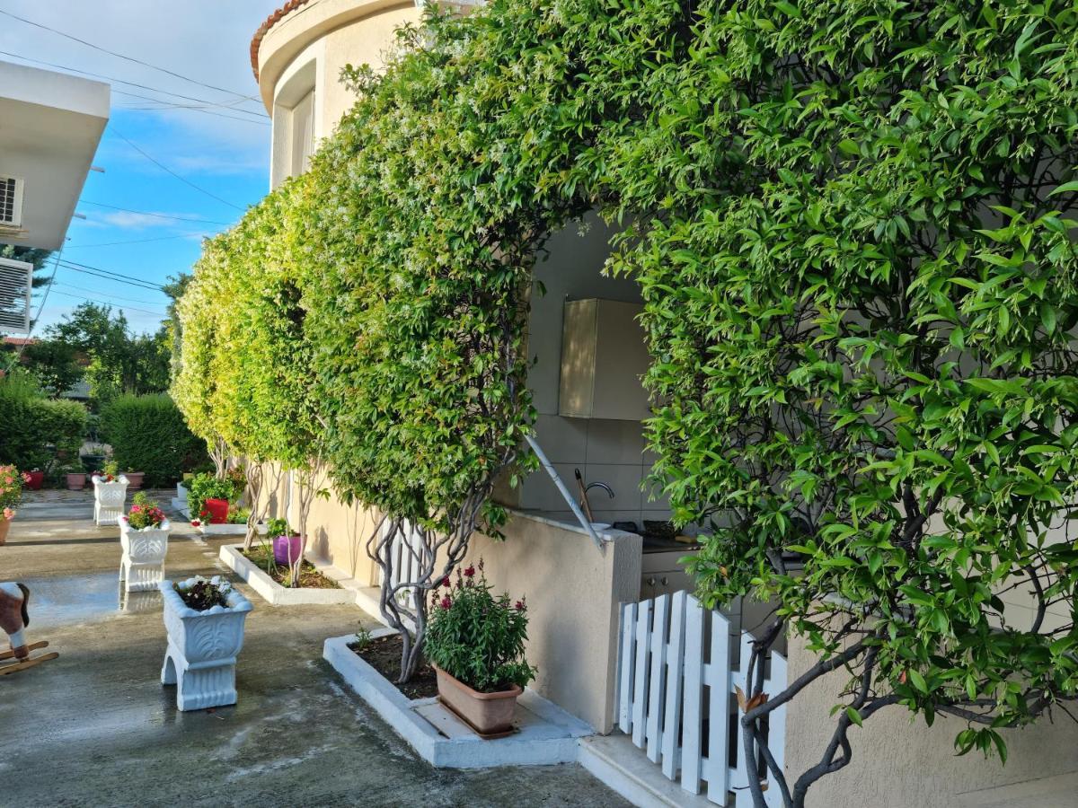 Guesthouse Novi Durres Ngoại thất bức ảnh